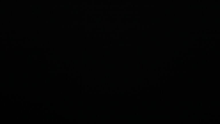 Dieses Bild zeigt eine Webcam-Aufnahme vom Achertal, aufgenommen am Montag, den 16.06.2025 um 02:20 Uhr. Die Temperatur betrug 9.9°C.