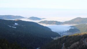 Dieses Bild zeigt eine Webcam-Aufnahme vom Achertal, aufgenommen am Donnerstag, den 22.01.2026 um 09:20 Uhr. Die Temperatur betrug 5.2°C.