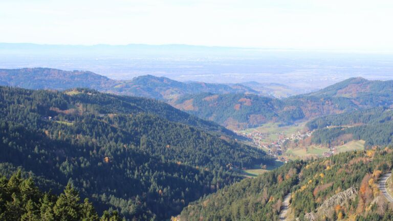 Dieses Bild zeigt eine Webcam-Aufnahme vom Achertal, aufgenommen am Dienstag, den 04.11.2025 um 11:20 Uhr. Die Temperatur betrug 10.8°C.