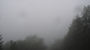 Dieses Bild zeigt eine Webcam-Aufnahme vom Achertal, aufgenommen am Mittwoch, den 01.07.2026 um 06:20 Uhr. Die Temperatur betrug 16.8°C.