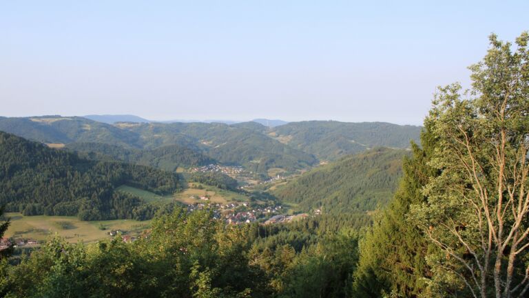 Dieses Bild zeigt eine Webcam-Aufnahme vom Achertal, aufgenommen am Donnerstag, den 30.07.2026 um 07:50 Uhr. Die Temperatur betrug 27.2°C.
