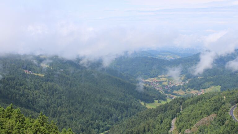 Dieses Bild zeigt eine Webcam-Aufnahme vom Achertal, aufgenommen am Sonntag, den 15.06.2025 um 12:40 Uhr. Die Temperatur betrug 16.5°C.
