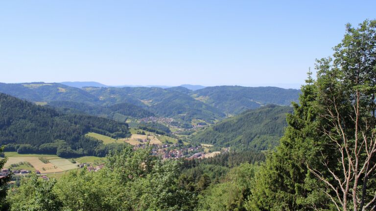 Dieses Bild zeigt eine Webcam-Aufnahme vom Achertal, aufgenommen am Freitag, den 29.05.2026 um 11:40 Uhr. Die Temperatur betrug 24°C.