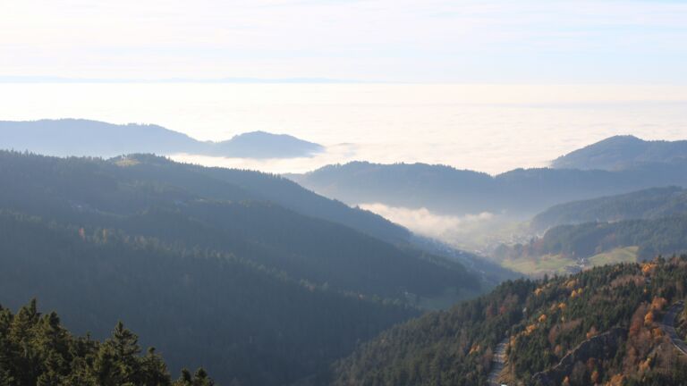 Dieses Bild zeigt eine Webcam-Aufnahme vom Achertal, aufgenommen am Freitag, den 07.11.2025 um 15:30 Uhr. Die Temperatur betrug 12.2°C.