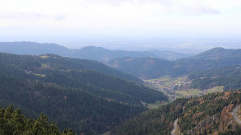 Dieses Bild zeigt eine Webcam-Aufnahme vom Achertal, aufgenommen am Dienstag, den 11.11.2025 um 14:10 Uhr. Die Temperatur betrug 8°C.