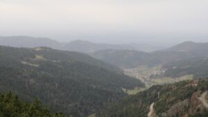 Dieses Bild zeigt eine Webcam-Aufnahme vom Achertal, aufgenommen am Freitag, den 14.11.2025 um 14:20 Uhr. Die Temperatur betrug 16.4°C.