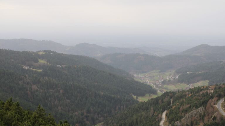 Dieses Bild zeigt eine Webcam-Aufnahme vom Achertal, aufgenommen am Freitag, den 14.11.2025 um 14:20 Uhr. Die Temperatur betrug 16.4°C.