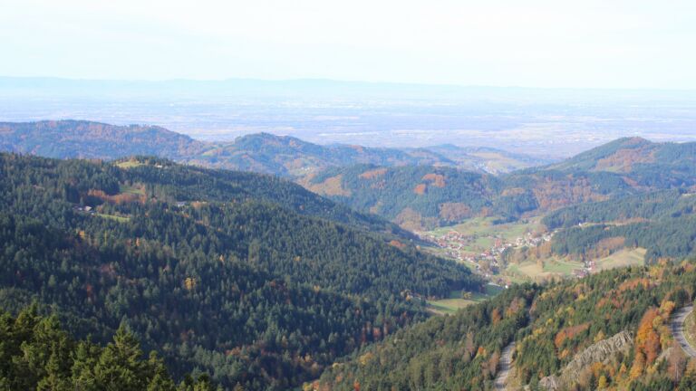 Dieses Bild zeigt eine Webcam-Aufnahme vom Achertal, aufgenommen am Mittwoch, den 29.10.2025 um 11:00 Uhr. Die Temperatur betrug 12.4°C.