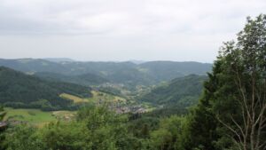 Dieses Bild zeigt eine Webcam-Aufnahme vom Achertal, aufgenommen am Dienstag, den 16.06.2026 um 08:50 Uhr. Die Temperatur betrug 17.4°C.