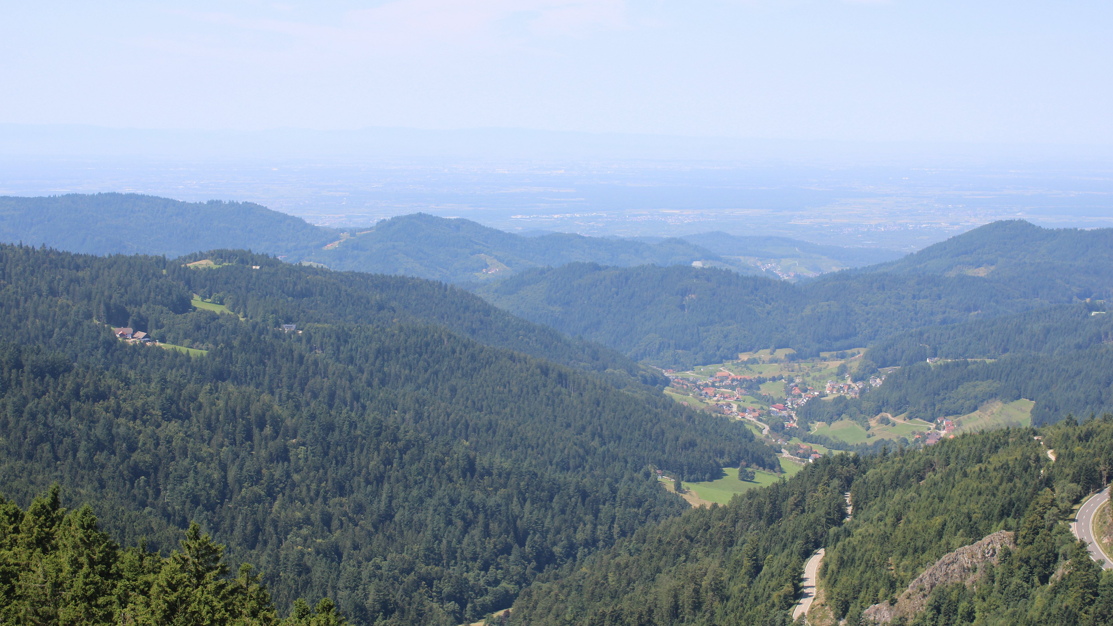 Zum Fotoarchiv vom Samstag, 9. August 2025