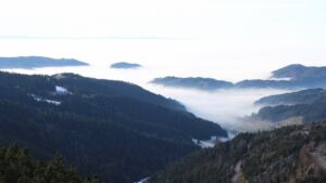 Dieses Bild zeigt eine Webcam-Aufnahme vom Achertal, aufgenommen am Dienstag, den 20.01.2026 um 14:20 Uhr. Die Temperatur betrug 12.8°C.