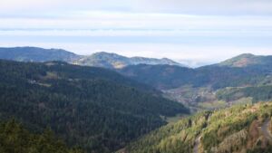 Dieses Bild zeigt eine Webcam-Aufnahme vom Achertal, aufgenommen am Donnerstag, den 04.12.2025 um 10:50 Uhr. Die Temperatur betrug 2.3°C.