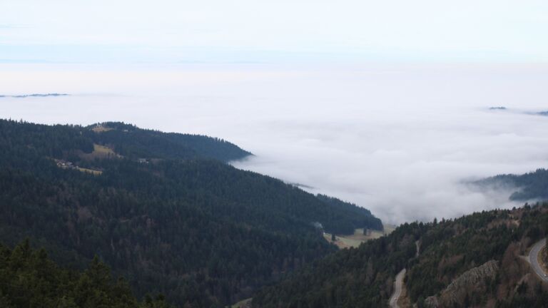 Dieses Bild zeigt eine Webcam-Aufnahme vom Achertal, aufgenommen am Montag, den 22.12.2025 um 11:10 Uhr. Die Temperatur betrug 10.8°C.