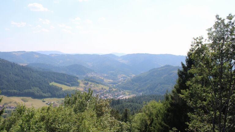 Dieses Bild zeigt eine Webcam-Aufnahme vom Achertal, aufgenommen am Mittwoch, den 29.07.2026 um 16:20 Uhr. Die Temperatur betrug 35.2°C.