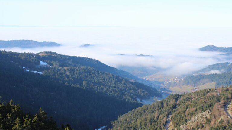 Dieses Bild zeigt eine Webcam-Aufnahme vom Achertal, aufgenommen am Montag, den 19.01.2026 um 11:10 Uhr. Die Temperatur betrug 7.9°C.