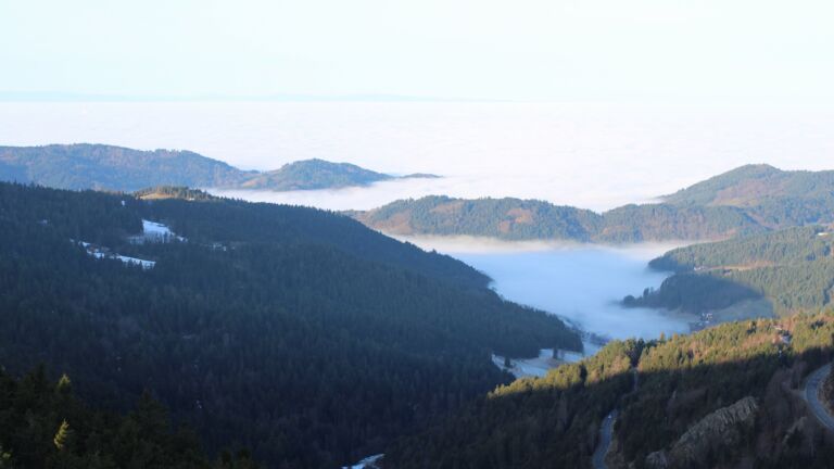 Dieses Bild zeigt eine Webcam-Aufnahme vom Achertal, aufgenommen am Mittwoch, den 21.01.2026 um 09:30 Uhr. Die Temperatur betrug 7.4°C.