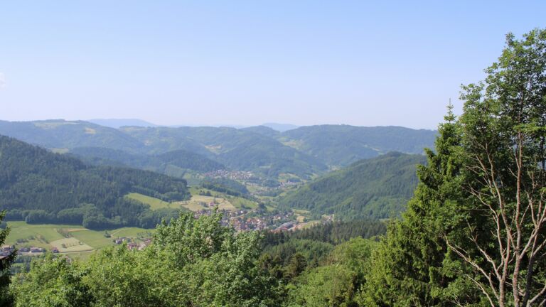 Dieses Bild zeigt eine Webcam-Aufnahme vom Achertal, aufgenommen am Montag, den 25.05.2026 um 11:40 Uhr. Die Temperatur betrug 25.8°C.