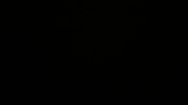 Dieses Bild zeigt eine Webcam-Aufnahme vom Achertal, aufgenommen am Mittwoch, den 24.09.2025 um 22:00 Uhr. Die Temperatur betrug 4.6°C.
