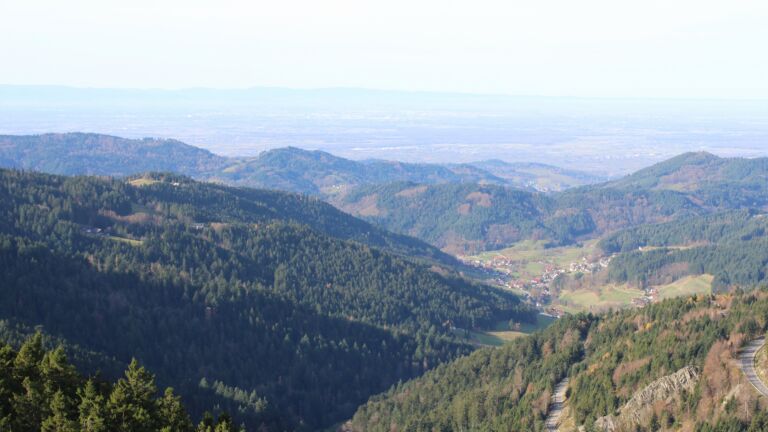 Dieses Bild zeigt eine Webcam-Aufnahme vom Achertal, aufgenommen am Donnerstag, den 13.11.2025 um 11:20 Uhr. Die Temperatur betrug 15.3°C.