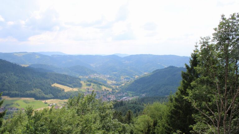 Dieses Bild zeigt eine Webcam-Aufnahme vom Achertal, aufgenommen am Dienstag, den 30.06.2026 um 15:30 Uhr. Die Temperatur betrug 30.5°C.