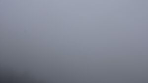 Dieses Bild zeigt eine Webcam-Aufnahme vom Achertal, aufgenommen am Montag, den 08.12.2025 um 12:30 Uhr. Die Temperatur betrug 7.9°C.