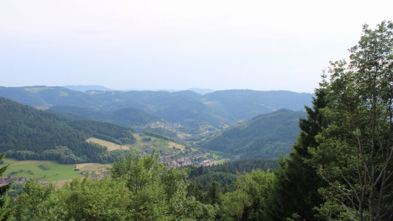 Dieses Bild zeigt eine Webcam-Aufnahme vom Achertal, aufgenommen am Freitag, den 19.06.2026 um 18:30 Uhr. Die Temperatur betrug 35.8°C.