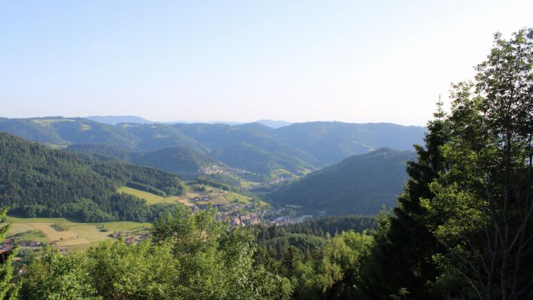 Dieses Bild zeigt eine Webcam-Aufnahme vom Achertal, aufgenommen am Freitag, den 29.05.2026 um 19:20 Uhr. Die Temperatur betrug 28.6°C.