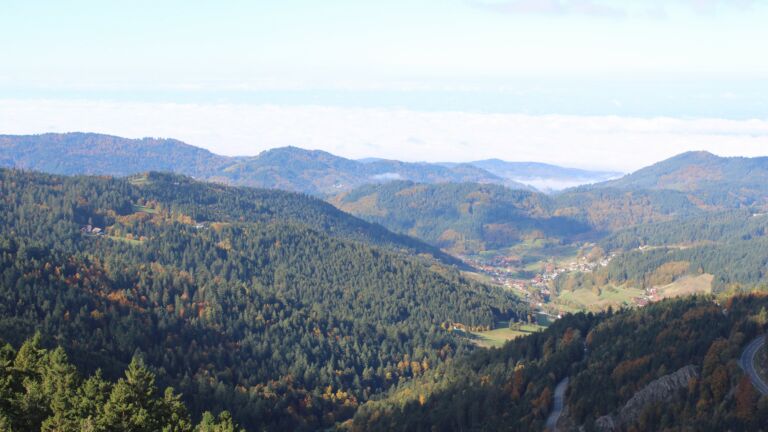 Dieses Bild zeigt eine Webcam-Aufnahme vom Achertal, aufgenommen am Donnerstag, den 16.10.2025 um 11:10 Uhr. Die Temperatur betrug 9.1°C.
