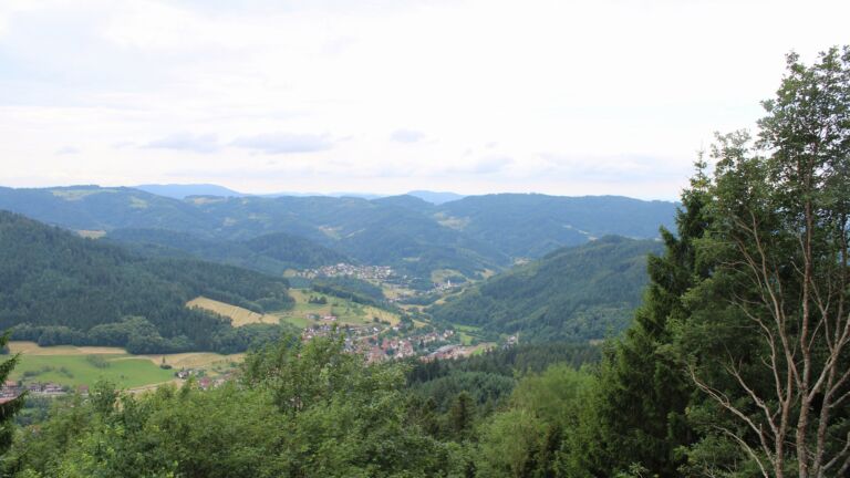Dieses Bild zeigt eine Webcam-Aufnahme vom Achertal, aufgenommen am Montag, den 29.06.2026 um 13:20 Uhr. Die Temperatur betrug 22.8°C.