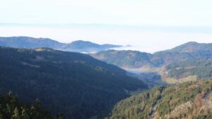 Dieses Bild zeigt eine Webcam-Aufnahme vom Achertal, aufgenommen am Sonntag, den 21.12.2025 um 10:50 Uhr. Die Temperatur betrug 6.3°C.