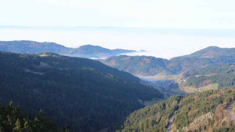 Dieses Bild zeigt eine Webcam-Aufnahme vom Achertal, aufgenommen am Sonntag, den 21.12.2025 um 10:50 Uhr. Die Temperatur betrug 6.3°C.