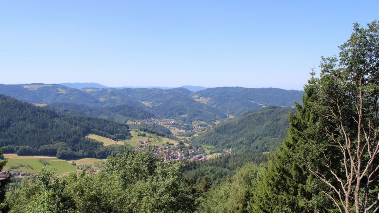 Dieses Bild zeigt eine Webcam-Aufnahme vom Achertal, aufgenommen am Samstag, den 04.07.2026 um 11:30 Uhr. Die Temperatur betrug 20.2°C.