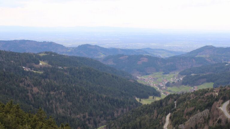 Dieses Bild zeigt eine Webcam-Aufnahme vom Achertal, aufgenommen am Sonntag, den 05.04.2026 um 14:50 Uhr. Die Temperatur betrug 11.8°C.