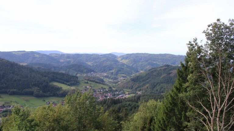 Dieses Bild zeigt eine Webcam-Aufnahme vom Achertal, aufgenommen am Sonntag, den 20.09.2026 um 11:30 Uhr. Die Temperatur betrug 18.5°C.