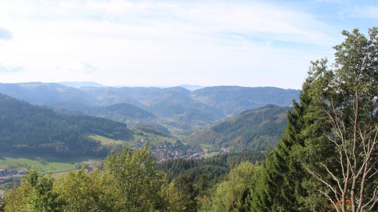 Dieses Bild zeigt eine Webcam-Aufnahme vom Achertal, aufgenommen am Samstag, den 03.10.2026 um 12:00 Uhr. Die Temperatur betrug 19.9°C.