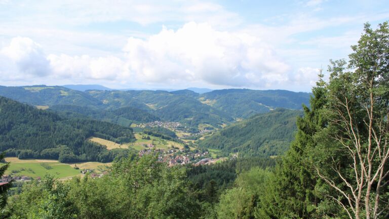 Dieses Bild zeigt eine Webcam-Aufnahme vom Achertal, aufgenommen am Montag, den 29.06.2026 um 11:00 Uhr. Die Temperatur betrug 22.2°C.