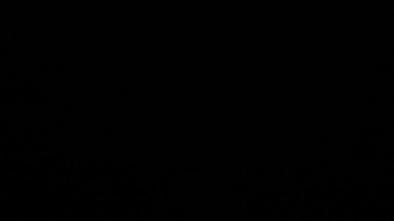 Dieses Bild zeigt eine Webcam-Aufnahme vom Achertal, aufgenommen am Montag, den 13.04.2026 um 23:30 Uhr. Die Temperatur betrug 2.6°C.