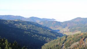 Dieses Bild zeigt eine Webcam-Aufnahme vom Achertal, aufgenommen am Freitag, den 07.11.2025 um 09:40 Uhr. Die Temperatur betrug 10.6°C.