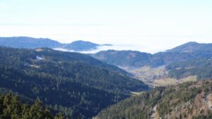 Dieses Bild zeigt eine Webcam-Aufnahme vom Achertal, aufgenommen am Sonntag, den 08.02.2026 um 12:40 Uhr. Die Temperatur betrug 4.8°C.