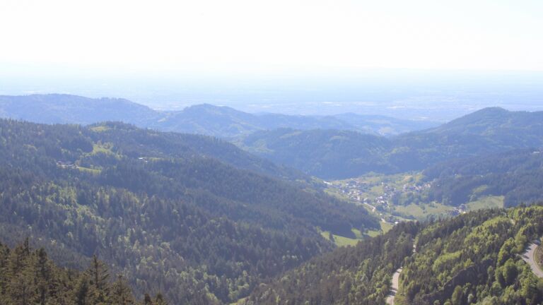 Dieses Bild zeigt eine Webcam-Aufnahme vom Achertal, aufgenommen am Sonntag, den 11.05.2025 um 17:30 Uhr. Die Temperatur betrug 16.7°C.