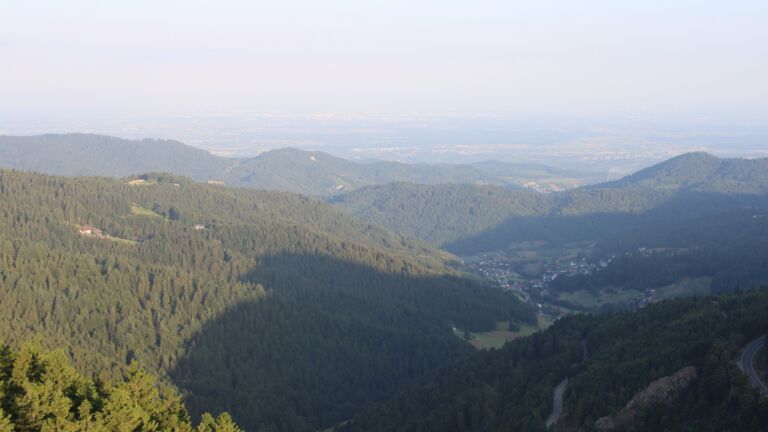 Dieses Bild zeigt eine Webcam-Aufnahme vom Achertal, aufgenommen am Donnerstag, den 10.07.2025 um 06:50 Uhr. Die Temperatur betrug 12.2°C.