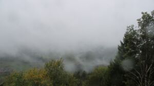 Dieses Bild zeigt eine Webcam-Aufnahme vom Achertal, aufgenommen am Mittwoch, den 21.10.2026 um 11:50 Uhr. Die Temperatur betrug 7°C.