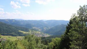 Dieses Bild zeigt eine Webcam-Aufnahme vom Achertal, aufgenommen am Mittwoch, den 08.07.2026 um 17:50 Uhr. Die Temperatur betrug 29.1°C.