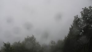 Dieses Bild zeigt eine Webcam-Aufnahme vom Achertal, aufgenommen am Donnerstag, den 08.10.2026 um 10:20 Uhr. Die Temperatur betrug 11.8°C.