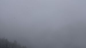 Dieses Bild zeigt eine Webcam-Aufnahme vom Achertal, aufgenommen am Montag, den 24.11.2025 um 11:00 Uhr. Die Temperatur betrug 0°C.