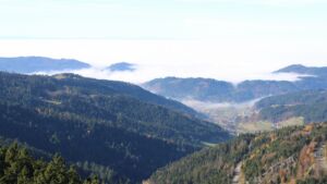 Dieses Bild zeigt eine Webcam-Aufnahme vom Achertal, aufgenommen am Freitag, den 07.11.2025 um 12:30 Uhr. Die Temperatur betrug 11.4°C.