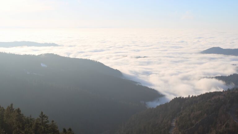 Dieses Bild zeigt eine Webcam-Aufnahme vom Achertal, aufgenommen am Sonntag, den 08.02.2026 um 16:30 Uhr. Die Temperatur betrug 2.5°C.