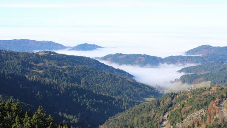 Dieses Bild zeigt eine Webcam-Aufnahme vom Achertal, aufgenommen am Samstag, den 08.11.2025 um 11:10 Uhr. Die Temperatur betrug 11.3°C.