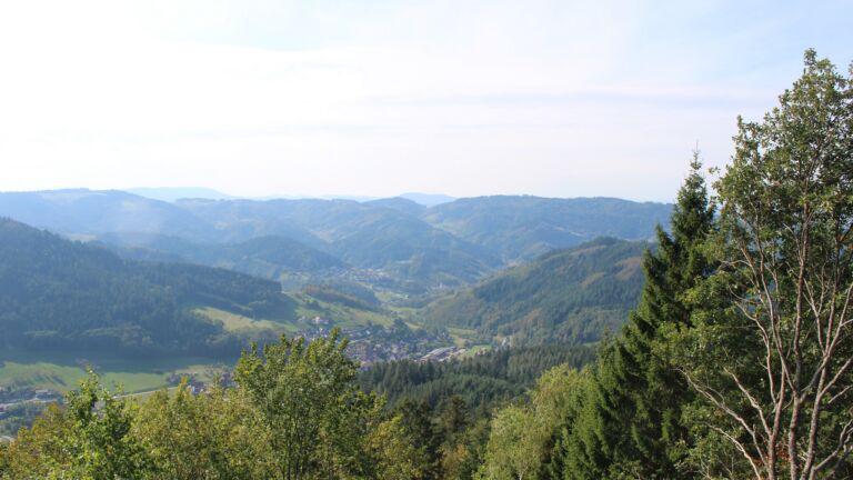 Dieses Bild zeigt eine Webcam-Aufnahme vom Achertal, aufgenommen am Mittwoch, den 07.10.2026 um 12:30 Uhr. Die Temperatur betrug 21.9°C.