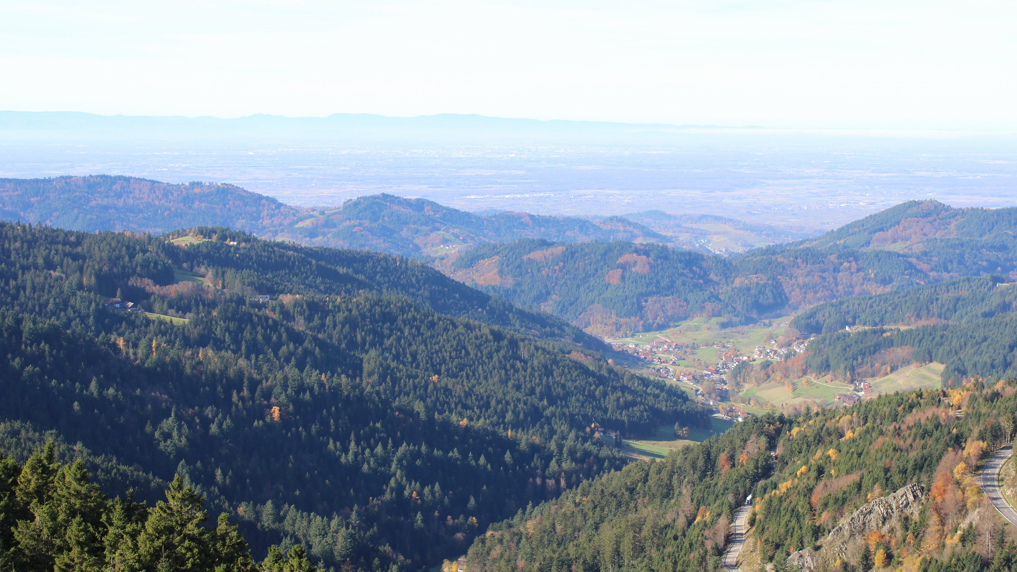 Zum Fotoarchiv vom Dienstag, 4. November 2025